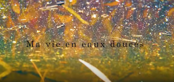 Ma vie en eaux douces